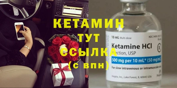 прущие грибы Заволжск