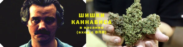 прущие грибы Заволжск
