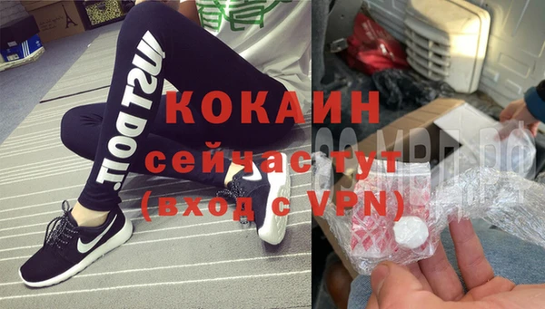 прущие грибы Заволжск