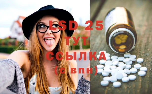 ПСИЛОЦИБИНОВЫЕ ГРИБЫ Заволжье