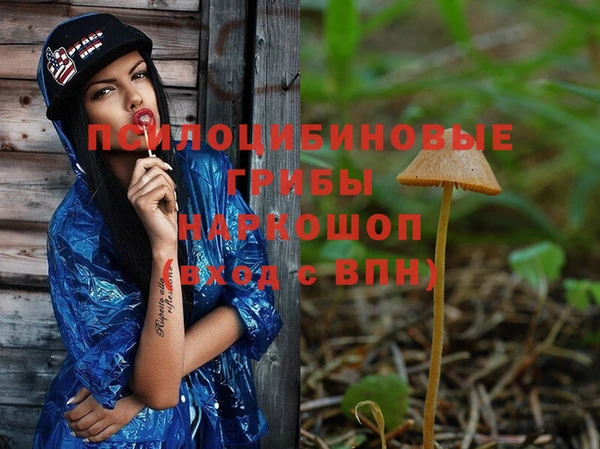 ПСИЛОЦИБИНОВЫЕ ГРИБЫ Заволжье
