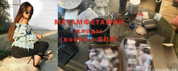 прущие грибы Заволжск