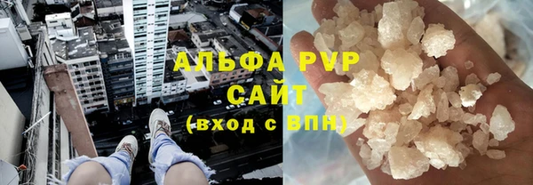 прущие грибы Заволжск