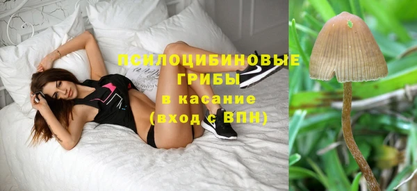 ПСИЛОЦИБИНОВЫЕ ГРИБЫ Заволжье