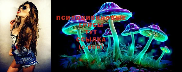 ПСИЛОЦИБИНОВЫЕ ГРИБЫ Заволжье